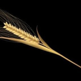 小麦の小穂の茎3Dモデル