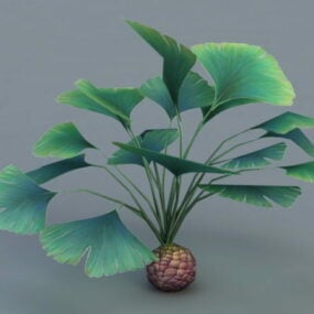 3д модель тропического широколиственного растения