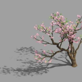 Árbol de flor de durazno modelo 3d