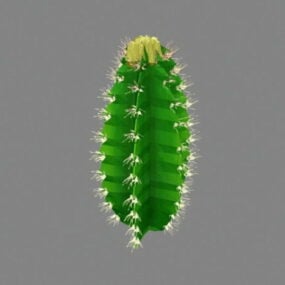 Euphorbia Cactus 3d model