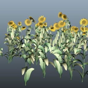 Modello 3d della pianta del fiore del girasole