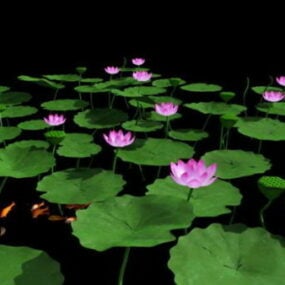 Pink Lotus Flowers 3d model