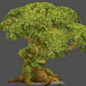 3д модель большого старого дерева