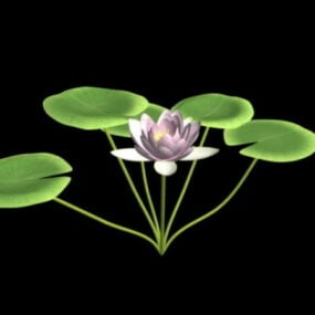 Modelo 3d de flor de nenúfar