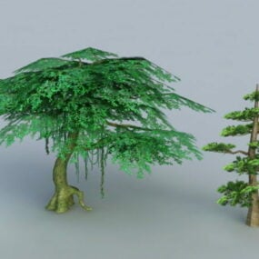 Cypress And Banyan Tree 3d model