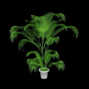 鉢植えのヤシの植物 3D モデル