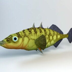 큰가시등 물고기 3d 모델