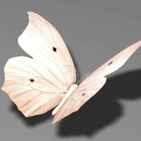 Μπεζ πεταλούδα τρισδιάστατο μοντέλο