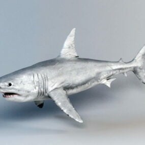 大白鲨3d模型