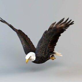 Modelo 3D de animação de agitação de águia careca