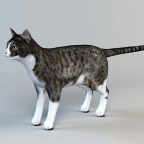 3D model mourovatá kočka