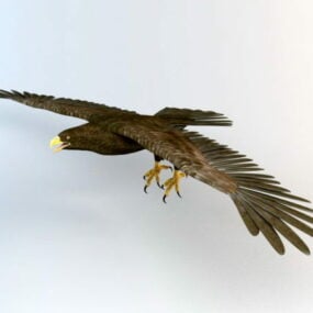 Modelo 3D animado de águia voadora