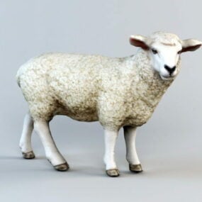 Low Poly 3d модель вівці