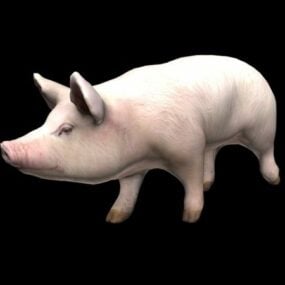 国内の豚の3Dモデル
