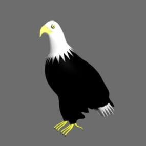 Model 3D Bald Eagle