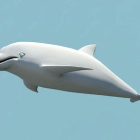 نموذج الدلفين قاروري الأنف ثلاثي الأبعاد