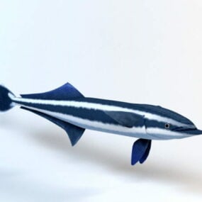 Blue Shark 3d model