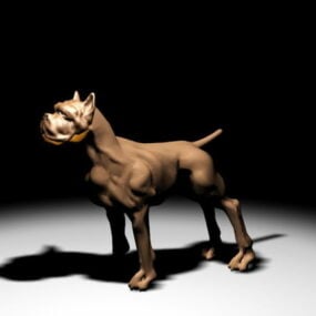 法国斗牛犬3d模型