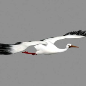 Crane Bird Flying Animation 3D-malli