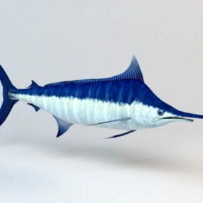 דגם תלת מימד של Atlantic Blue Marlin