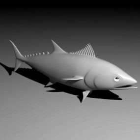 سمكة التونة نموذج ثلاثي الأبعاد
