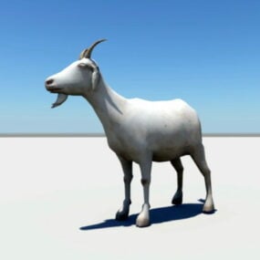 Mountain Goat 3d model