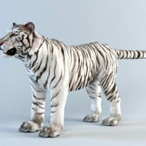 3d модель білого тигра