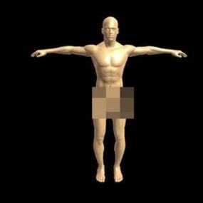 Miesten ihmispohjan 3D-malli
