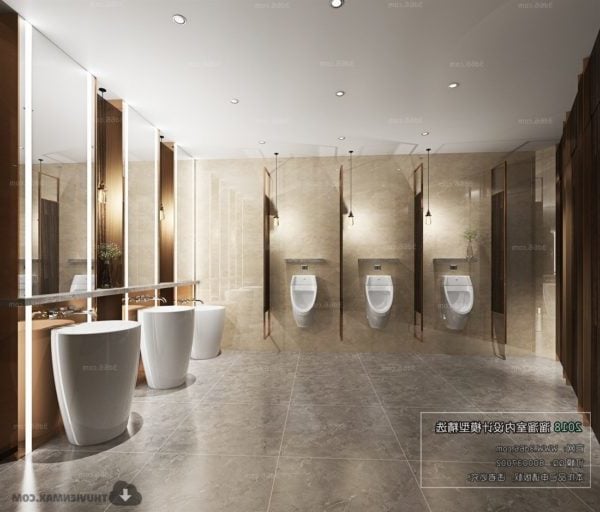 Luxury Hotel Toilet Interior Scene