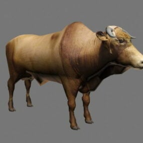 ブラフマン牛3Dモデル