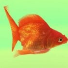 Animated Goldfish