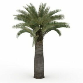 مدل سه بعدی درخت نخل کالیفرنیا