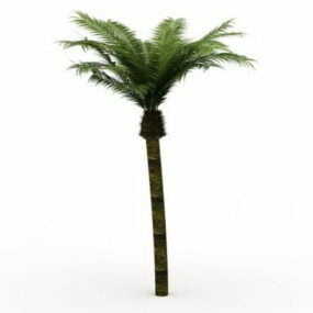 Date Palm Tree 3d-modell