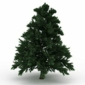 نموذج شجرة السرو ليلاند ثلاثي الأبعاد