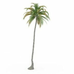 Small Potted Palm Plant 3d model