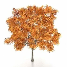 Golden Ash Tree 3d model