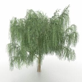 Weeping Willow Tree Plant 3d-modell