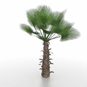 Modelo 3d de palmeira de moinho de vento