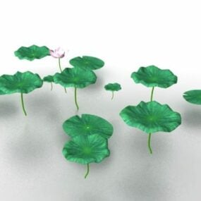 Lotusblume und Blätter 3D-Modell