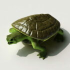 Yeşil Deniz Kaplumbağası