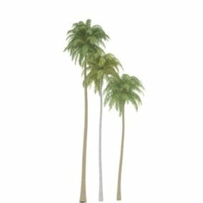 Кокосова пальма 3d модель