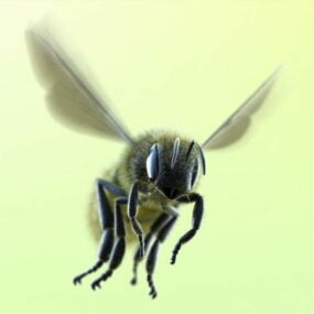 Mô hình đồ chơi búp bê ong mật 3d
