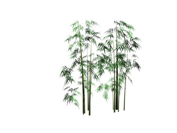 Bamboo Grove Free 3d Model - .Max, .Vray - Open3dModel 122046