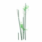 Bambusplanter