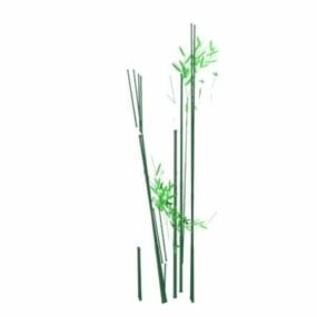 Modello 3d di piante di bambù
