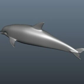 Model 3d Haiwan Dolphin Laut