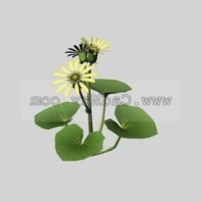 Sunflower Plant 3d model