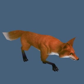 Red Fox Animal 3d-modell