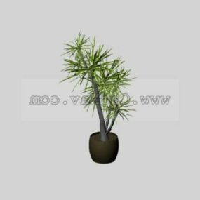 Indoor Potted Plant 3d model