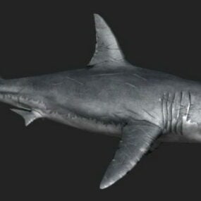 نموذج حيوان القرش الأبيض الكبير ثلاثي الأبعاد